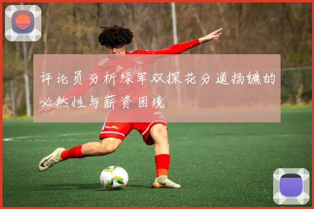 评论员分析绿军双探花分道扬镳的必然性与薪资困境